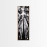 Redwood Forest, Sunlight Trees, Nature Canopy, Canvas Print, Serene Woodland Art, Cabin Wall Decor, Black and White Forest Art, Bedroom Wall Art