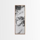 Sand Crab, Coastal Vibes, Beach Creature, Desert Aesthetic, Monochrome Wall Art, Canvas Print, Boho Bathroom Decor, Ocean Life Artwork
