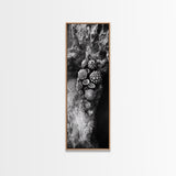Tide Pool Life, Sea Creatures, Textured Nature, Ocean Details, Shell Art, Framed Canvas Print, Bathroom Wall Art, Coastal Boho Vibes
