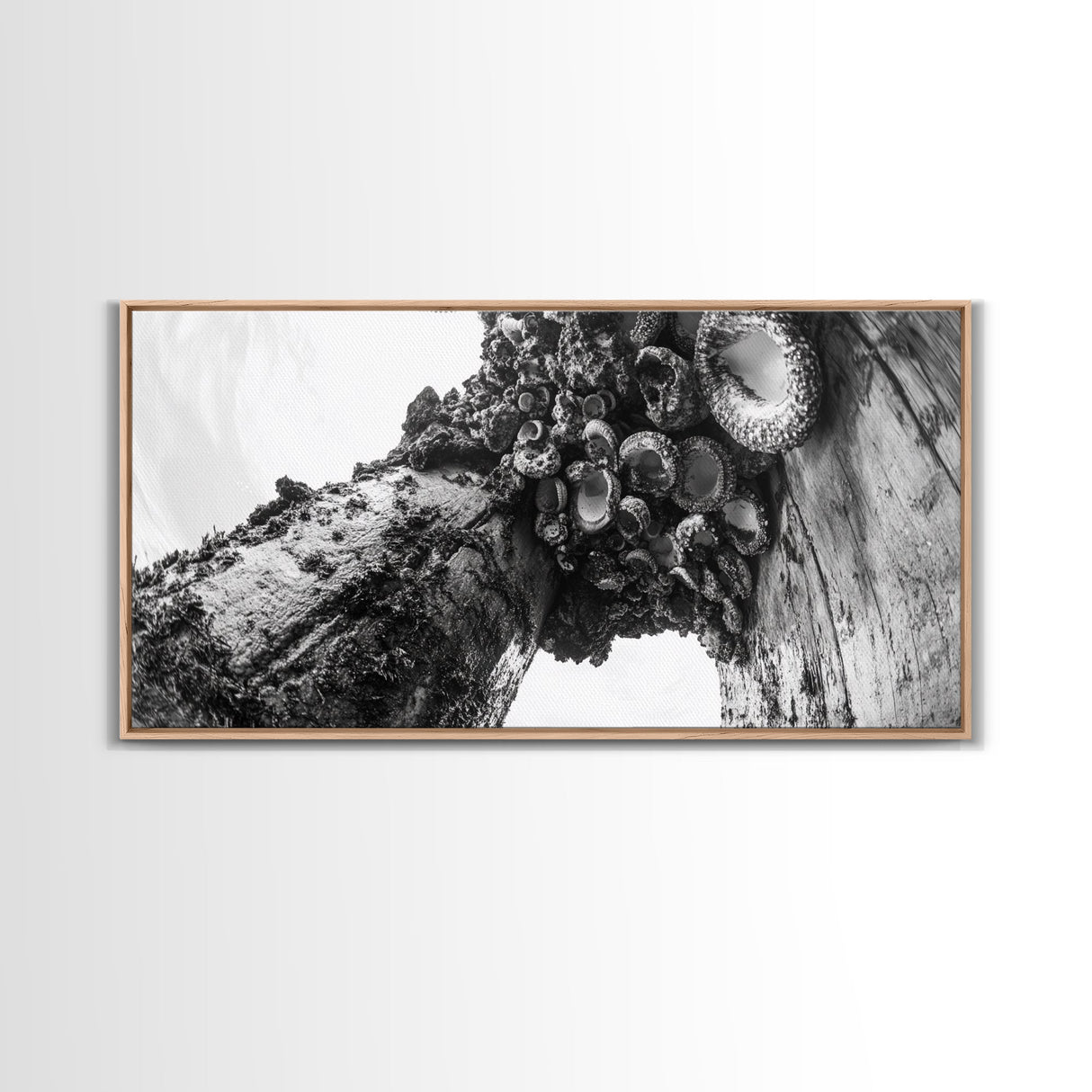 Coastal Texture, Tidepool Abstract, Modern Ocean Nature, Framed Canvas Print, Bathroom Wall Art, Marine Minimalist Photography