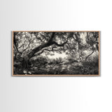 Twisted Forest Canopy, Ancient Trees, Mystical Woodland, Canvas Print, Boho Living Room Art, Black and White Nature Print, Cabin Decor