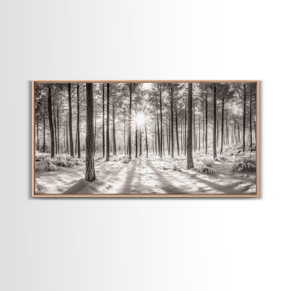 Winter Pine Forest, Sunlight Snow Trees, Nature Landscape Photography, Framed Canvas Print, Cabin Decor, Minimalist Wall Art