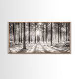Winter Pine Forest, Sunlight Snow Trees, Nature Landscape Photography, Framed Canvas Print, Cabin Decor, Minimalist Wall Art