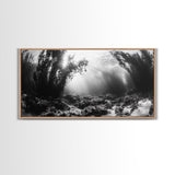 Kelp Forest Rays, Underwater Light, Black and White Ocean Scene, Framed Canvas Print, Nature Wall Art, Coastal Bathroom Decor