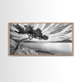 Tree Horizon, Curved Pine, Coastal Calm, Zen Scene, Canvas Print, Living Room Wall Art, Wabi Sabi Decor, Natural Minimal Aesthetic
