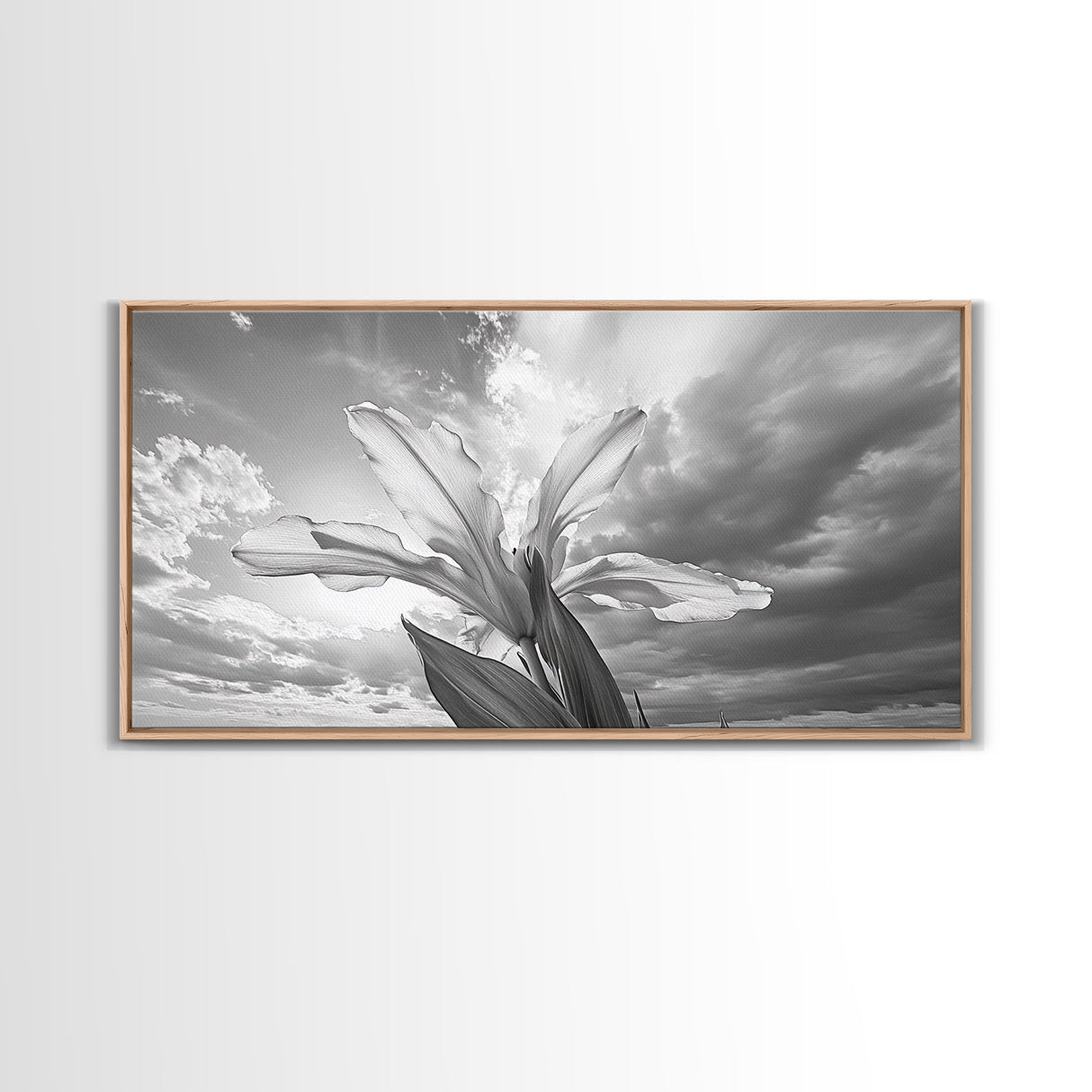 Blooming Iris, Floral Sky, Dreamy Nature, Petal Light, Framed Canvas Print, Modern Bedroom Art, Feminine Wall Art, Botanical Home Decor
