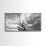 Blooming Iris, Floral Sky, Dreamy Nature, Petal Light, Framed Canvas Print, Modern Bedroom Art, Feminine Wall Art, Botanical Home Decor