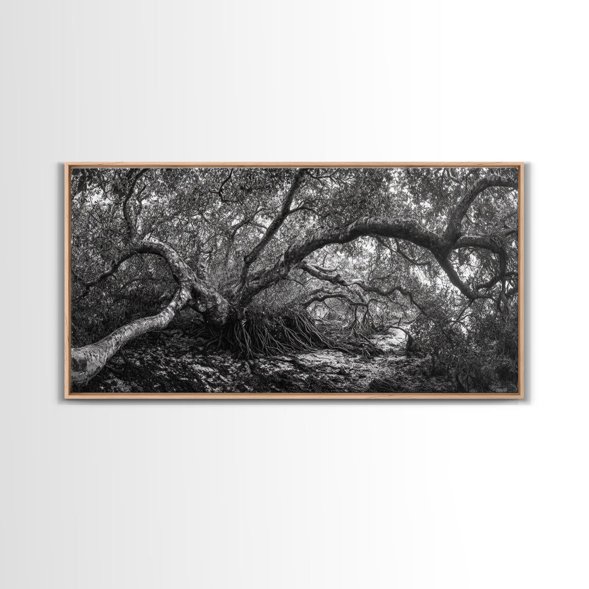 Mangrove Roots, Twisted Forest, Wild Nature, Moody Jungle, Framed Canvas Print, Rustic Living Room Art, Woodland Decor, Boho Vibes