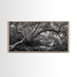 Mangrove Roots, Twisted Forest, Wild Nature, Moody Jungle, Framed Canvas Print, Rustic Living Room Art, Woodland Decor, Boho Vibes