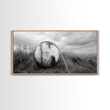Coastal Buoy, Nautical Sphere, Fishing Rope, Beach Grass, Framed Canvas Print, Coastal Bathroom Art, Seaside Wall Decor, Rustic Style