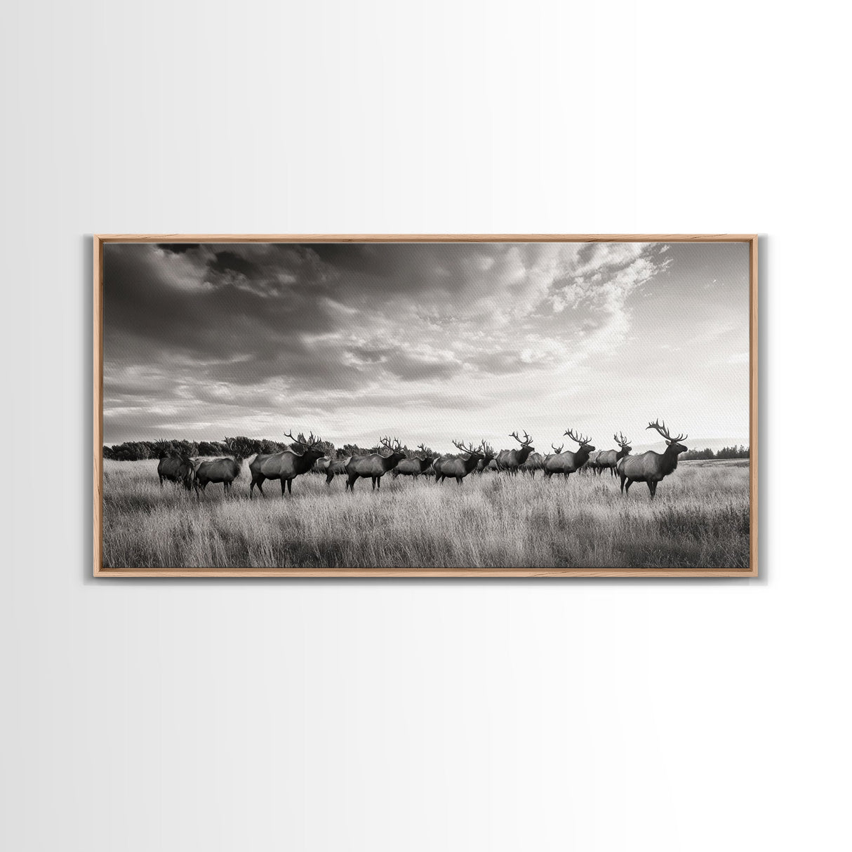Elk Herd, Prairie Wildlife, Autumn Nature, Rustic Landscape, Framed Canvas Print, Western Wall Decor, Cabin Art, Living Room Print