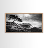 Lone Tree, Foggy Cliffs, Dramatic Landscape, Moody Sky, Framed Canvas Print, Nature Wall Art, Cabin Decor, Autumn Coastal Vibes