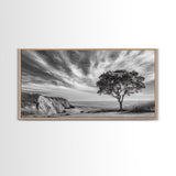 Coastal Tree Cliff, Ocean Breeze Scene, Scenic Nature Vibes, Framed Canvas Print, Boho Bedroom or Serene Living Room Wall Art