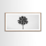 Minimal Palm Tree, Tropical Simplicity, Black and White Art, Framed Canvas Print, Modern Entryway or Minimalist Bathroom Wall Art