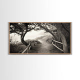 Ocean Cliff Path, Framed Trail Trees, Coastal Escape Scene, Framed Canvas Print, Boho Bedroom or Peaceful Hallway Wall Art, Entryway Accent