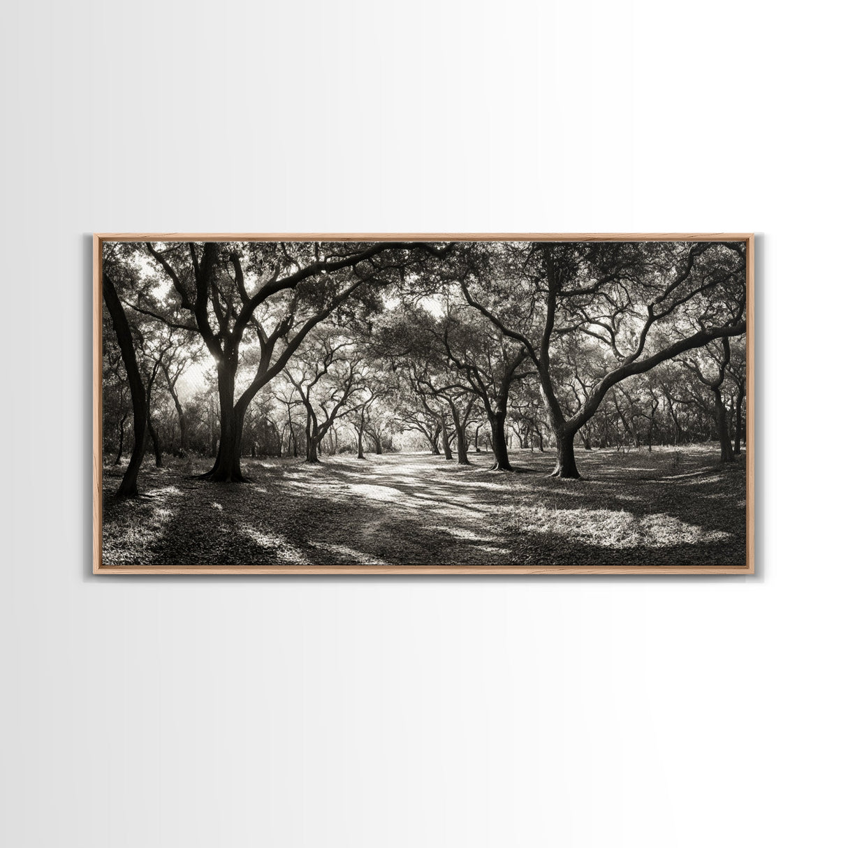Oak Tree Path, Autumn Forest Glow, Nature Trail Photography, Framed Canvas Print, Hallway Wall Art, Earthy Decor, Woodland Art