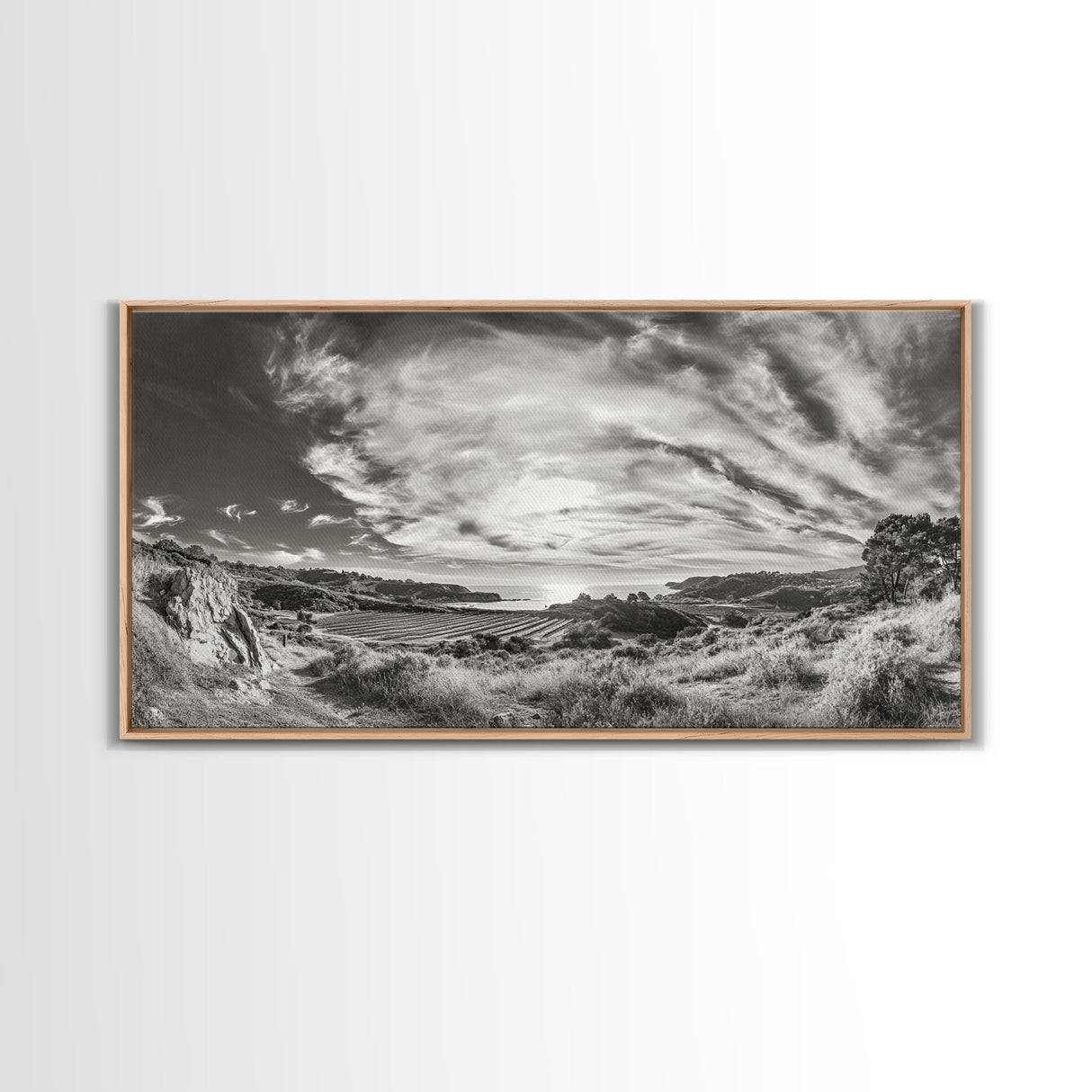 Coastal Hillside Sunset, Vineyard Ocean View, Rolling Landscape Art, Framed Canvas Print, Kitchen Wall Art, California Scenery