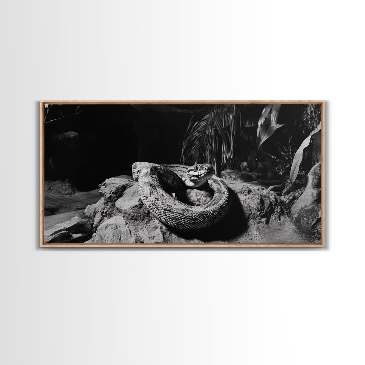 Jungle Snake Scene, Reptile Animal Art, Bold Black and White, Framed Canvas Print, Wildlife Decor, Man Cave or Study Wall Art