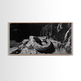 Jungle Snake Scene, Reptile Animal Art, Bold Black and White, Framed Canvas Print, Wildlife Decor, Man Cave or Study Wall Art