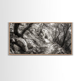 Woodland Trail, Autumn Path, Tree Tunnel, Rustic Outdoor Vibe, Framed Canvas Print, Entryway Nature Art, Moody Forest Decor