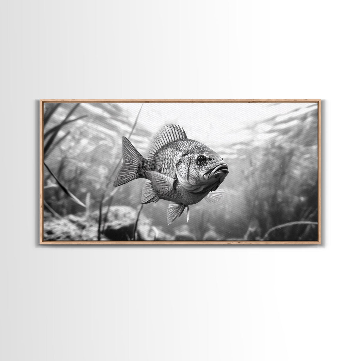 Underwater Fish, Nature Photography, Lake Life Scene, Freshwater Animal, Framed Canvas Print, Bathroom Wall Art, Minimalist Decor