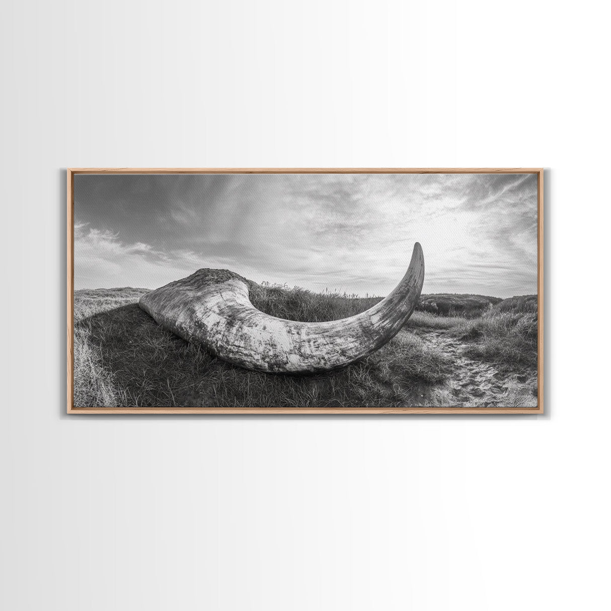 Driftwood Horn Curve, Coastal Nature Art, Whale Bone Decor, Beachside Minimalism, Canvas Print, Entryway Wall Art, Nautical Rustic Decor