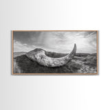 Driftwood Horn Curve, Coastal Nature Art, Whale Bone Decor, Beachside Minimalism, Canvas Print, Entryway Wall Art, Nautical Rustic Decor