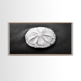 Sand Dollar, Beach Detail, Minimalist Sea, Calm Nature, Framed Canvas Print, Bathroom Wall Art, Coastal Boho Decor, Ocean Zen Style