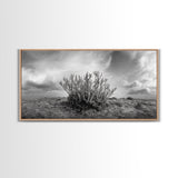 Desert Coral Plant, Dry Earth Botanical, Surreal Nature Texture, Minimal Wild Scene, Canvas Print, Office Wall Art, Earthy Decor