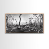 Burnt Forest, Moody Trees, Coastal Landscape, Nature Scene, Framed Canvas Print, Rustic Wall Art, Boho Decor, Fall Home Aesthetic