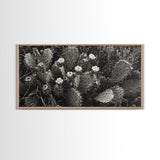 Cactus Blooms, Desert Flowers, Prickly Pear, Nature Closeup, Framed Canvas Print, Southwestern Art, Kitchen Wall Art, Boho Style