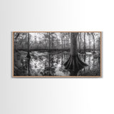 Swamp Trees, Cypress Water, Nature Reflections, Marsh Scene, Framed Canvas Print, rustic cabin decor, hallway wall art, forest wall print