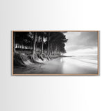 Pine Trees, Sandy Beach, Coastal Serenity, Driftwood Shore, Framed Canvas Print, neutral wall art, coastal rustic style, entryway landscape