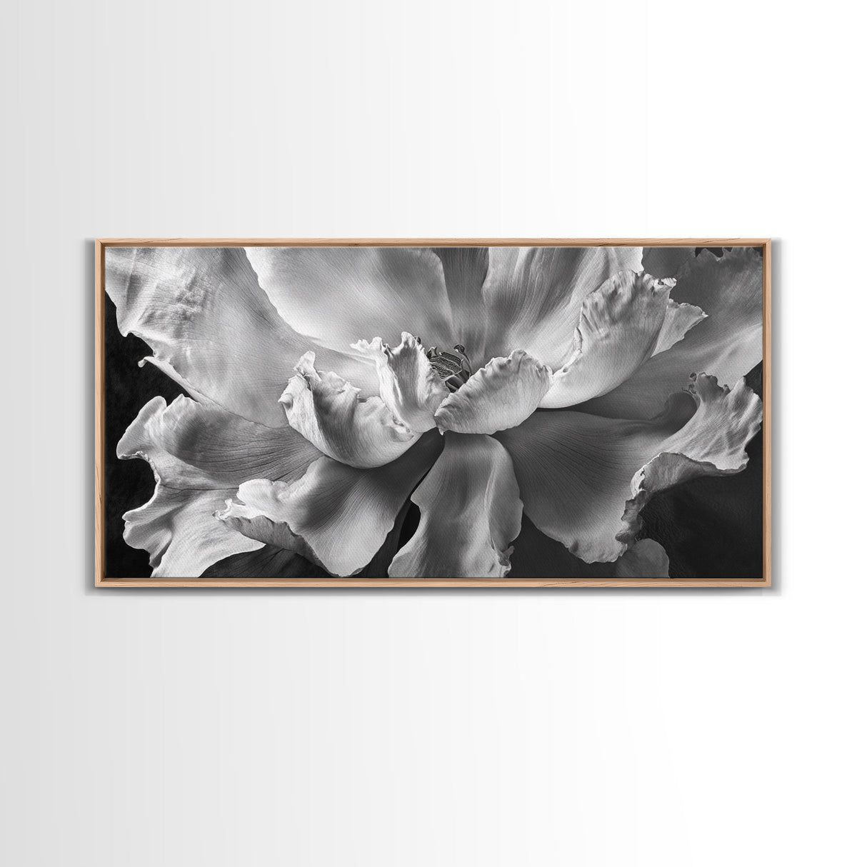 Floral Closeup, Petal Texture, Macro Bloom, Canvas Print, Botanical Bedroom Wall Art, Black And White Flower, Modern Nature Photography