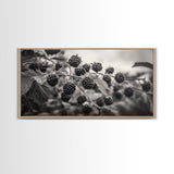 Blackberries on Vine, Farmhouse Kitchen Art, Rustic Fruit Wall Decor, Country Style, Autumn Botanical Photography, Canvas Print