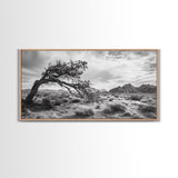 Twisted Tree, Desert Landscape, Surreal Nature, Canvas Print, Rustic Western Decor, Living Room Wall Art, Moody Earth Tones, Fall Aesthetic