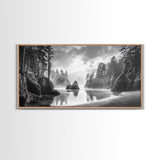 Forest Coast, Secluded Beach, Ocean Rocks, Misty Trees, Framed Canvas Print, Nature Wall Art, Living Room Decor, Moody Landscape