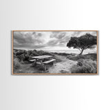 Picnic Table, Ocean Tree, Coastal Path, Windswept Scene, Framed Canvas Print, Rustic Wall Art, Fall Decor, Peaceful Beach Setting