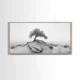 Solitary Tree, Minimalist Nature, Desert Landscape, Canvas Print, Modern Home Decor, Neutral Wall Art, Entryway Accent, Calm Mood Art