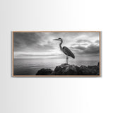 Heron Bird, Ocean Rock, Serene Wildlife, Canvas Print, Coastal Wall Art, Modern Farmhouse Decor, Minimalist Animal Scene