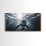Underwater Dolphin, Ocean Wildlife Art, Marine Animal Decor, Coastal Vibes, Canvas Print, Bathroom Wall Art, Nautical Themed Room