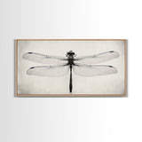 Dragonfly Sketch, Insect Art Print, Botanical Illustration, Minimalist Natural History, Framed Canvas Print, Office or Study Wall Art