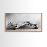 Driftwood Sculpture, Organic Modern Art, Natural Wood Texture, Neutral Decor, Framed Canvas Print, Bedroom or Living Room Wall Art