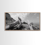 Coastal Driftwood, Beach Landscape, Pebble Shore Scene, Natural Decor Accent, Canvas Print, Relaxed Vibe, Entryway or Den Wall Art
