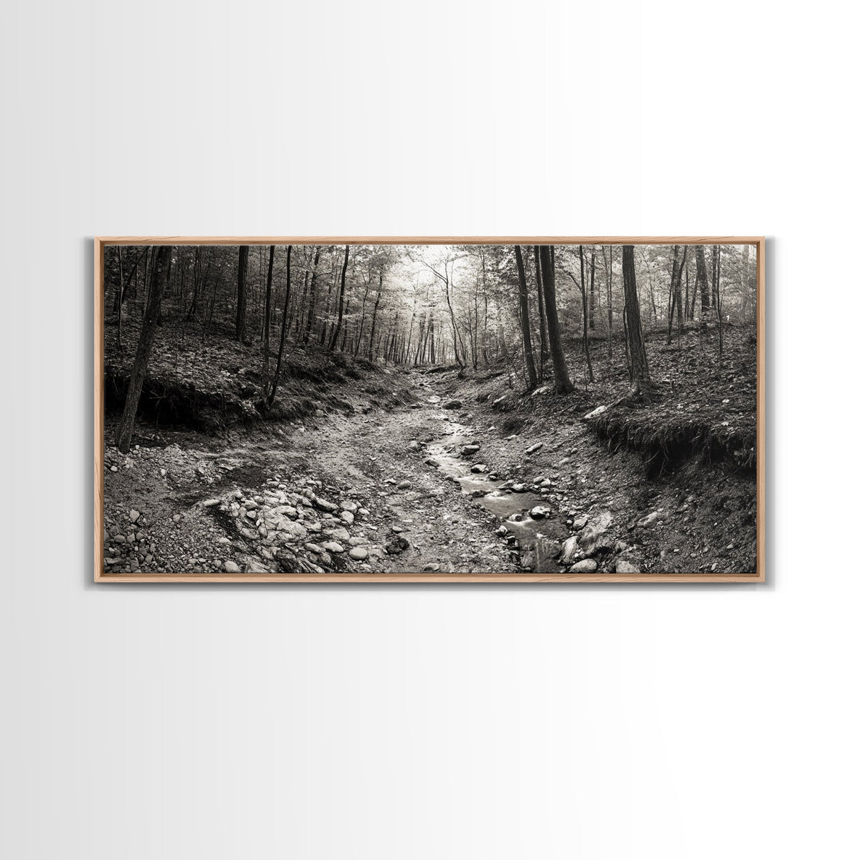 Forest Stream, Tranquil Woodland Path, Autumn Nature Photography, Framed Canvas Print, Rustic Cabin Decor, Living Room Wall Art