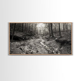 Forest Stream, Tranquil Woodland Path, Autumn Nature Photography, Framed Canvas Print, Rustic Cabin Decor, Living Room Wall Art