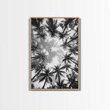 Palm Tree Sky, Tropical Canopy, Black and White Island View, Jungle Overhead Scene, Framed Canvas Print, Bathroom Wall Art, Beach Boho Decor