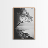 Misty Tree, Shoreline Fog, Forest Edge, Moody Atmosphere, Framed Canvas Print, Bedroom Wall Art, Autumn Woodland Style, Serene Nature Decor