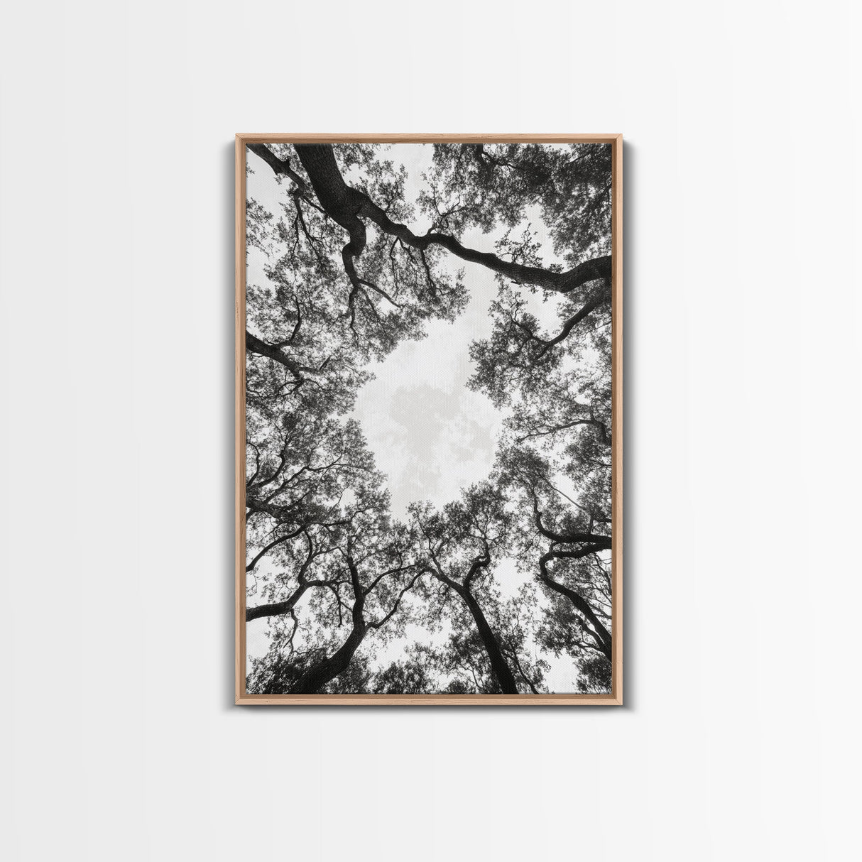 Forest Canopy View, Tree Tops Art, Nature Sky Print, Framed Canvas Print, Bedroom Wall Art, Minimalist Nature, Modern Rustic Decor