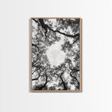 Forest Canopy View, Tree Tops Art, Nature Sky Print, Framed Canvas Print, Bedroom Wall Art, Minimalist Nature, Modern Rustic Decor